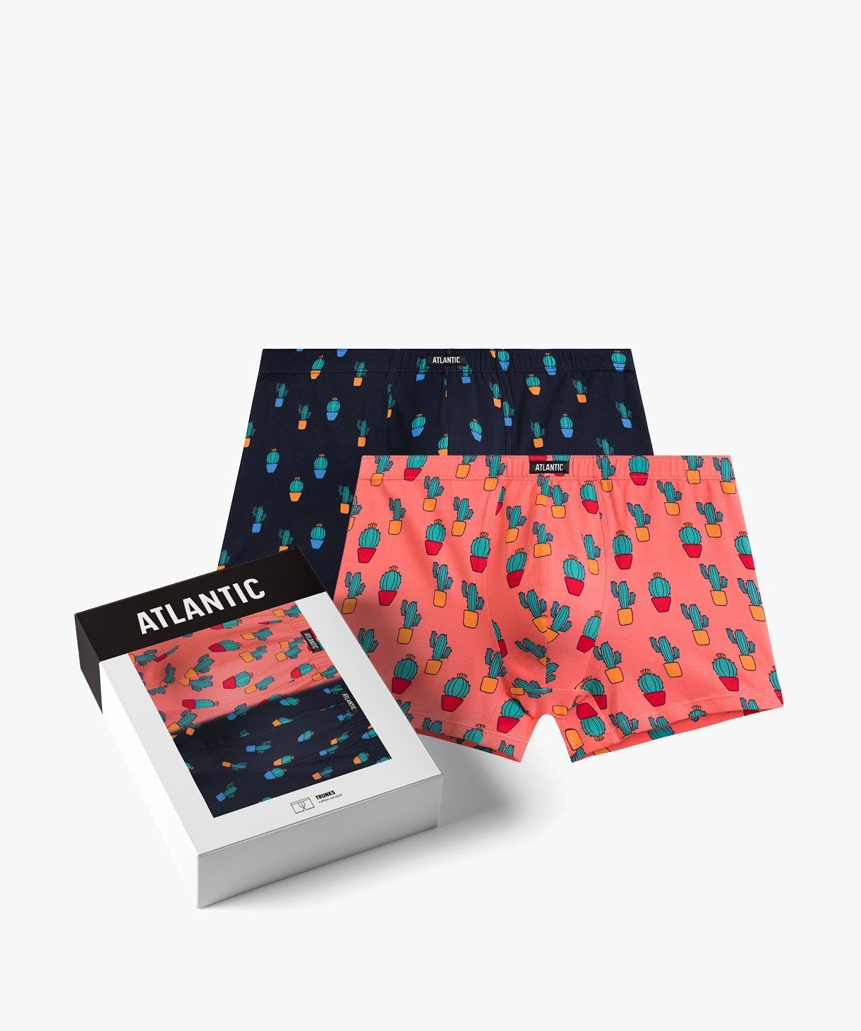 Мужские шорты Atlantic, хлопок. Набор 2 шт. 2MHH-005_GRA/KOR, L