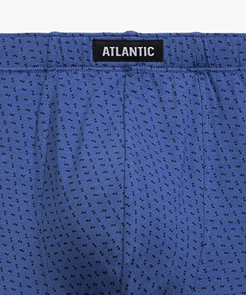 Мужские трусы Atlantic хлопок. Набор 3 шт. 3MH-197_NIE/CAB/GRA, M