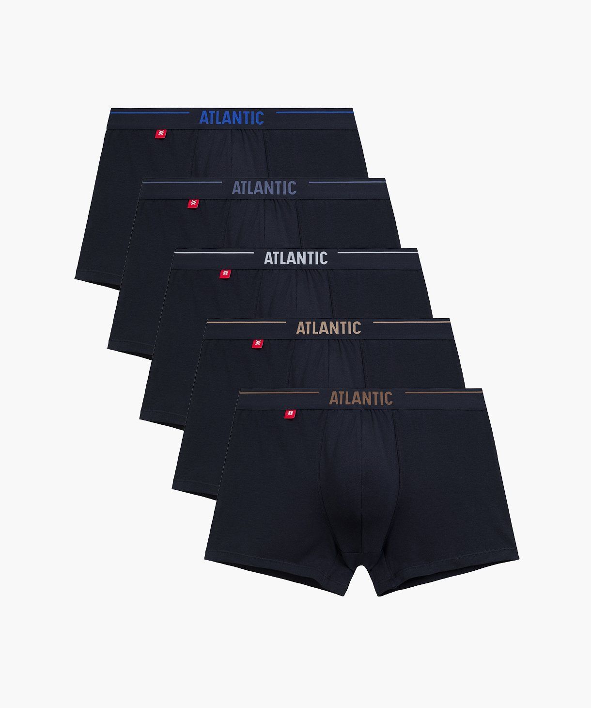 Чоловічі шорти Atlantic, бавовна. Набір 5 шт. 5SMH-004_GRA, XL