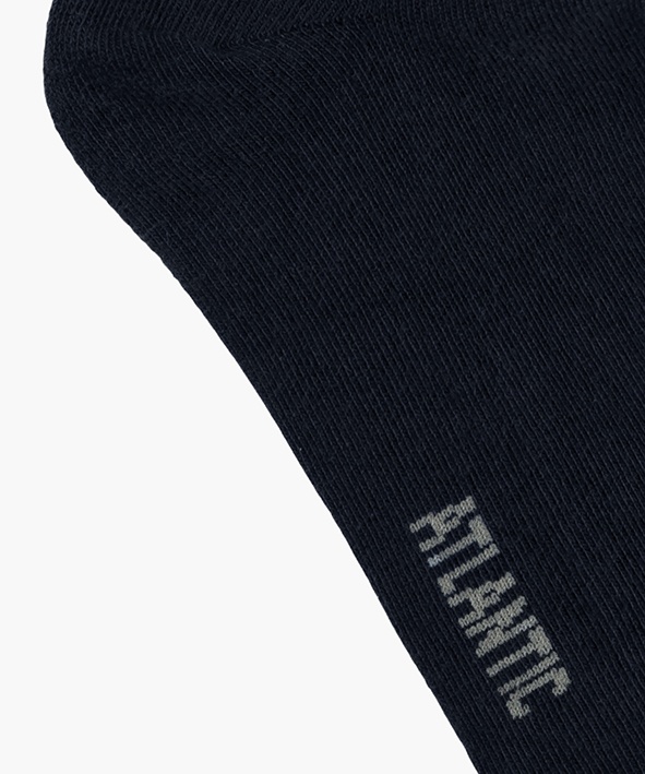 Чоловічі шкарпетки Atlantic бавовна. Набір 3 шт. 3BMC-101_GRA/S, 39-42