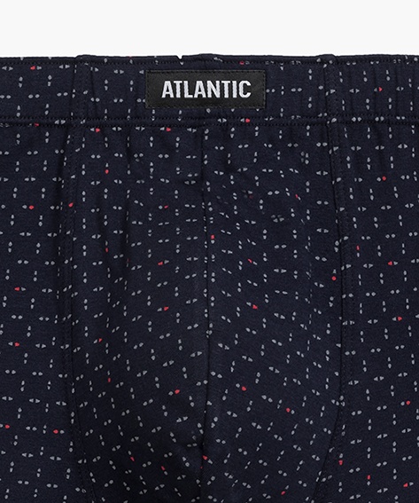 Мужские трусы Atlantic хлопок. Набор 3 шт. 3MH-200_GRA/BUR/NIE, S