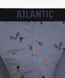 Мужские трусы Atlantic хлопок. Набор 3 шт. 3MP-171_CZA/GRF/NIE, S