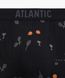 Мужские трусы Atlantic хлопок. Набор 3 шт. 3MH-050_CZA/GRF/NIE, S